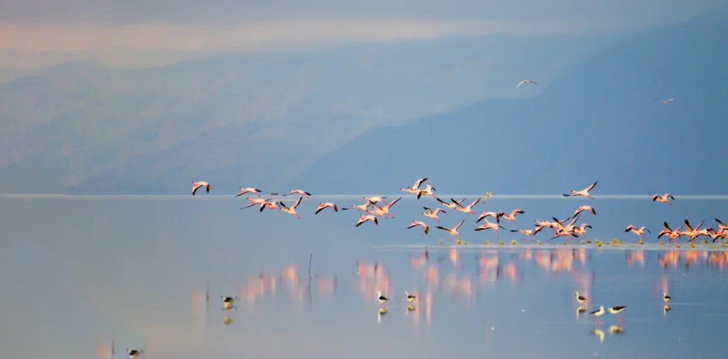 lake-manyara-national-park-banner