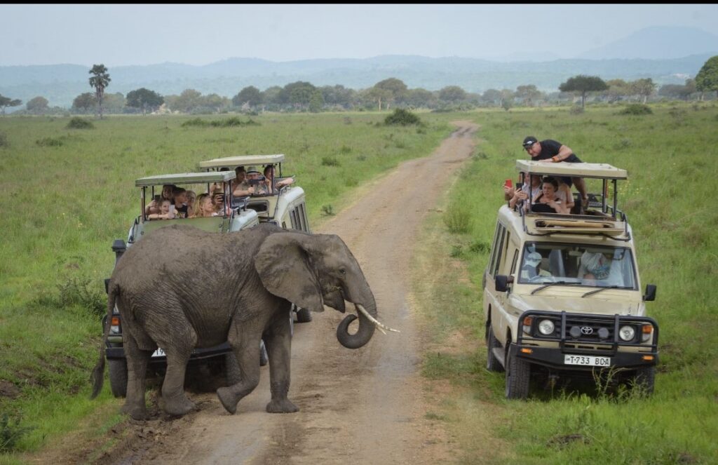 3 Days Tarangire Ngorongoro