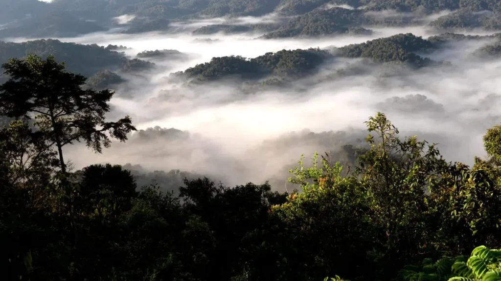 Nyungwe-National-Park-1200x675