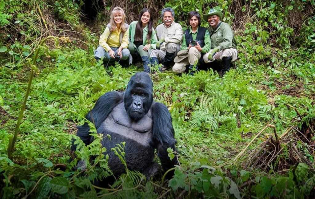 gorilla-trekking-in-rwanda-