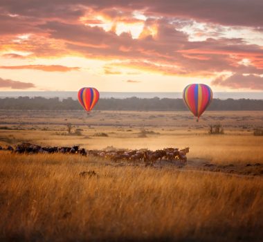 Masai-Mara-Balloon-Safaris-6-scaled